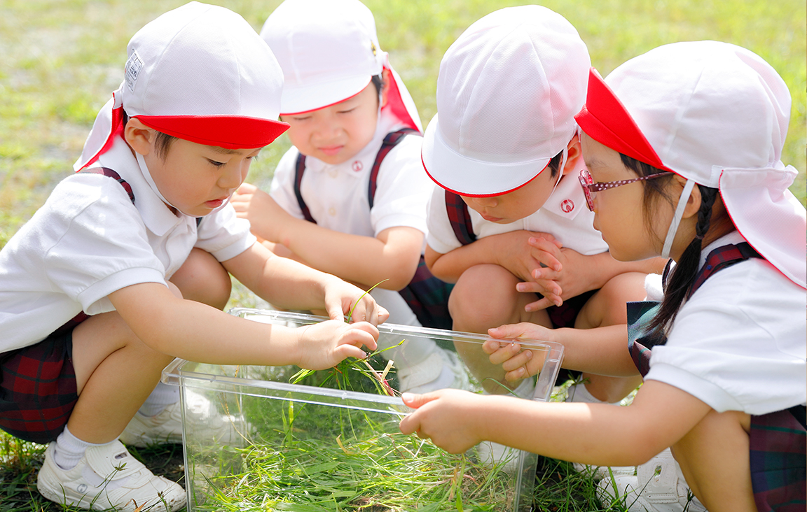 お芋掘りをする子どもたち